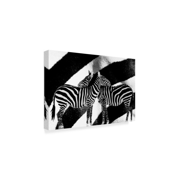 Ata Alishahi 'Zebra' Canvas Art,30x47